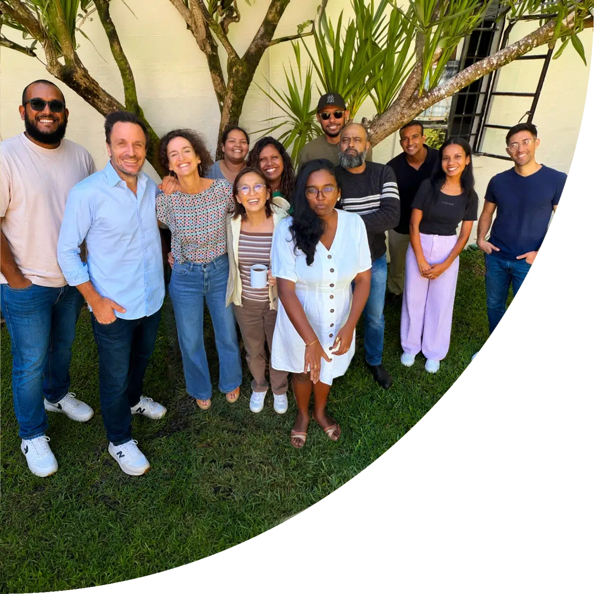 lemon agency team v1.0